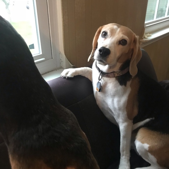 Meet your Posher, Kelly - Picture 1 of 1